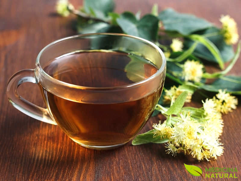 Chá de tília - Tilia americana