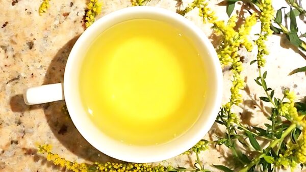 Chá de vara-de-ouro (Solidago virgaurea)