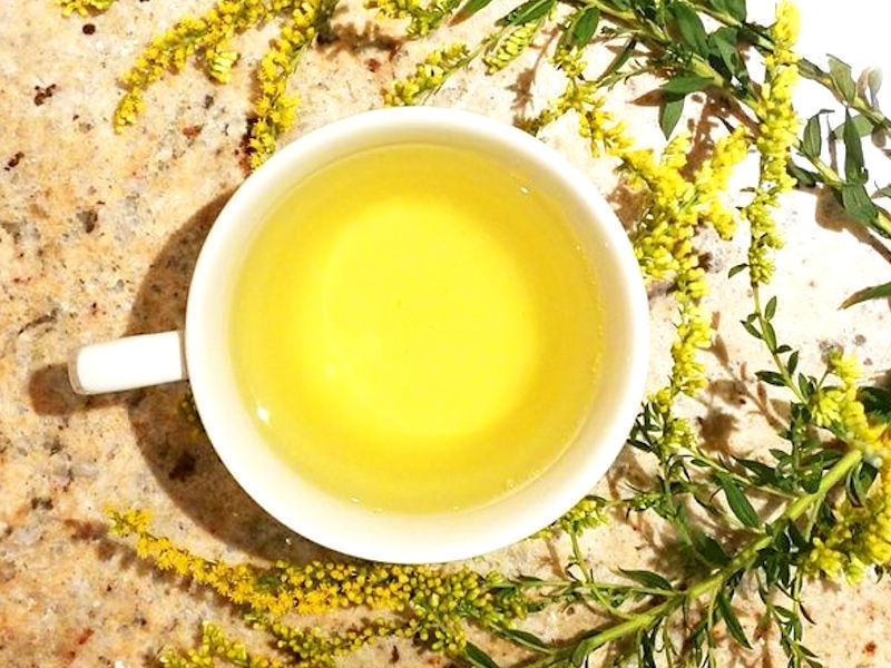 Chá de vara-de-ouro (Solidago virgaurea)