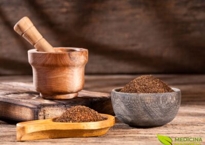 Chá-Preto - Camellia sinensis
