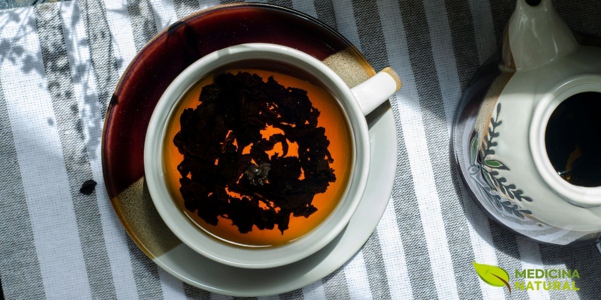 O chá preto, totalmente oxidado, apresenta características visuais e organolépticas completamente diferentes do chá verde, embora ambos provenham da mesma planta Camellia sinensis. As folhas escuras e a infusão âmbar profundo são resultado da oxidação completa, processo que converte as catequinas em teaflavinas e tearubiginas, compostos que conferem ao chá preto seu sabor robusto, maltado e ligeiramente adstringente. O teor de cafeína é geralmente mais alto que no chá verde.
