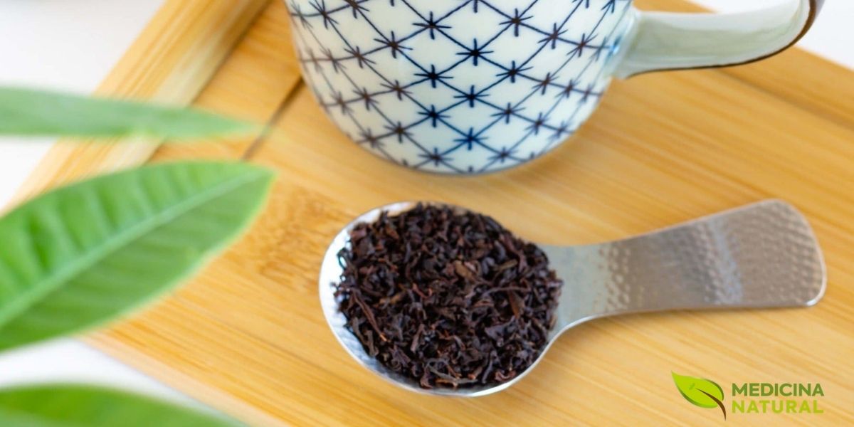 O chá preto, totalmente oxidado, apresenta características visuais e organolépticas completamente diferentes do chá verde, embora ambos provenham da mesma planta Camellia sinensis. As folhas escuras e a infusão âmbar profundo são resultado da oxidação completa, processo que converte as catequinas em teaflavinas e tearubiginas, compostos que conferem ao chá preto seu sabor robusto, maltado e ligeiramente adstringente. O teor de cafeína é geralmente mais alto que no chá verde.