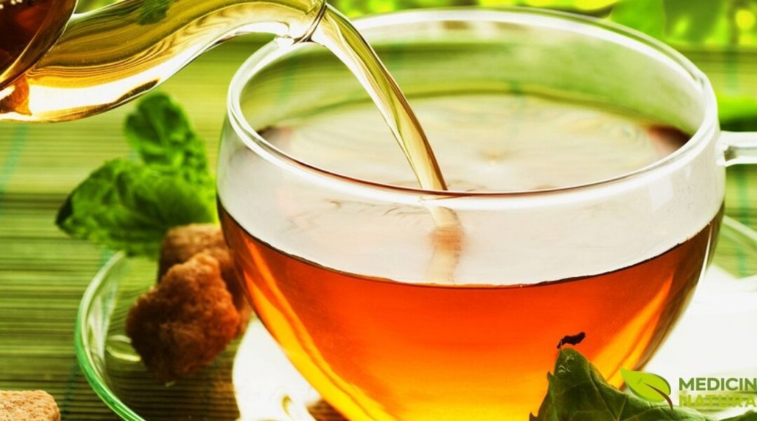 Chá Verde Emagrece? Guia Científico com Benefícios e Dicas