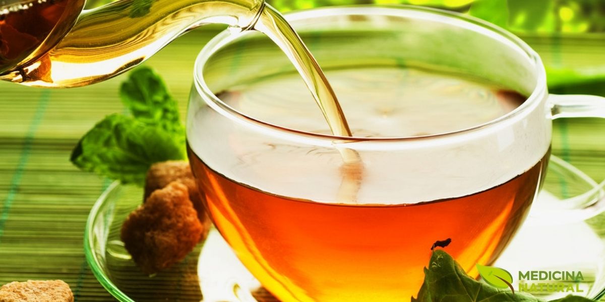 A preparação do chá verde é uma arte que exige atenção aos detalhes. Usar um bule de vidro permite acompanhar visualmente o processo de infusão, observando a liberação gradual dos compostos das folhas na água quente. A chave para um chá perfeito está na temperatura da água (cerca de 80°C) e no tempo de infusão (2 a 3 minutos), que garantem a extração máxima de catequinas e sabor sem o amargor excessivo.