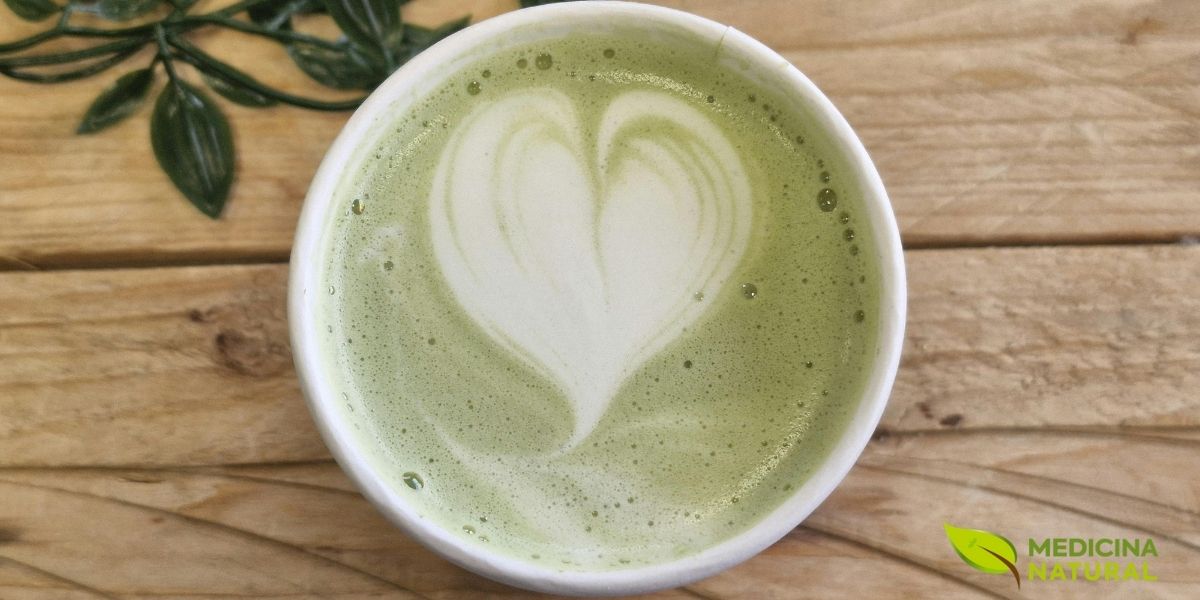 Estudos científicos demonstram que o consumo regular de 2 a 3 xícaras diárias pode reduzir significativamente o risco de hipertensão arterial. As catequinas presentes no chá verde, especialmente a epigalocatequina-3-galato (EGCG), atuam melhorando a função endotelial dos vasos sanguíneos, promovendo o relaxamento vascular através da produção de óxido nítrico. Esta imagem simboliza o ritual diário que pode contribuir para a manutenção de uma pressão arterial saudável e a proteção do sistema cardiovascular.