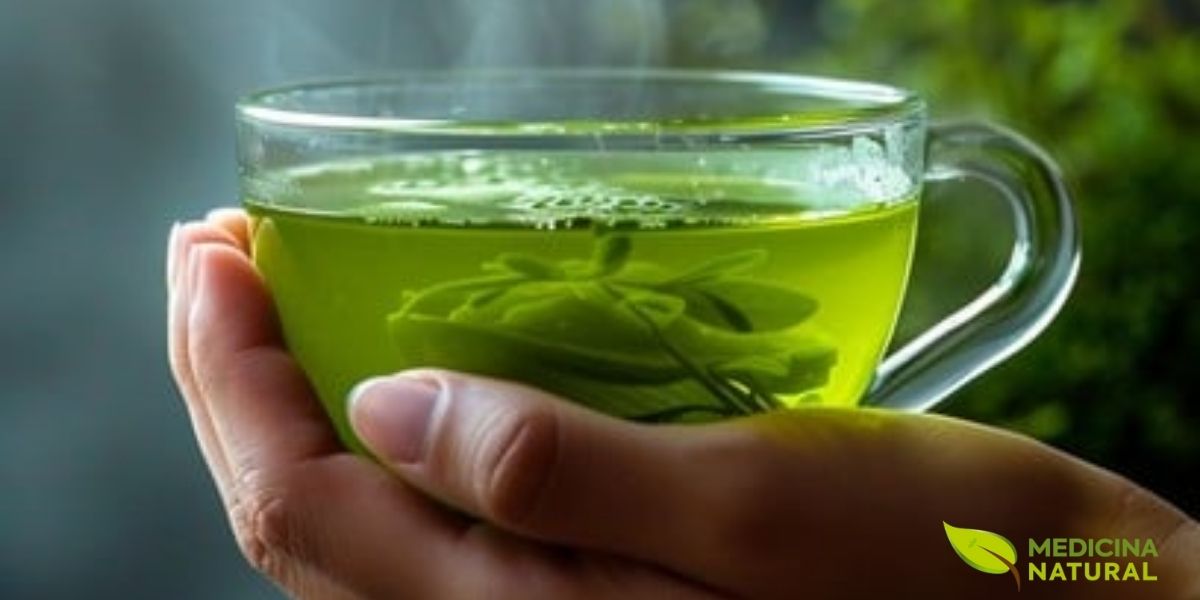 O momento de saborear uma xícara de chá verde fumegante transcende o simples ato de beber uma infusão, representando um ritual milenar de saúde e bem-estar. O vapor que se eleva da xícara carrega consigo não apenas o aroma característico e reconfortante da Camellia sinensis, mas também a promessa de inúmeros benefícios terapêuticos comprovados pela ciência moderna. Cada gole fornece uma dose concentrada de catequinas, especialmente EGCG, polifenóis com potente ação antioxidante que combatem o estresse oxidativo celular.