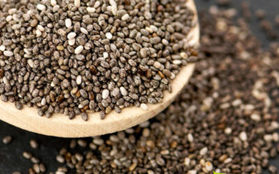 Chia: saiba para que serve a semente