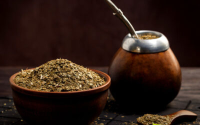 Erva-Mate Tostada: O Segredo para Mais Foco e Vitalidade