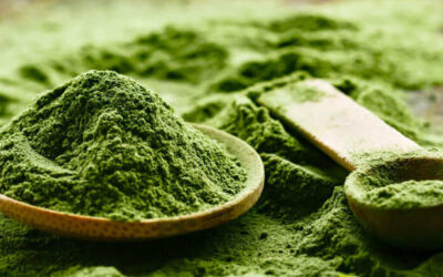 Chlorella (clorela): saiba para que serve