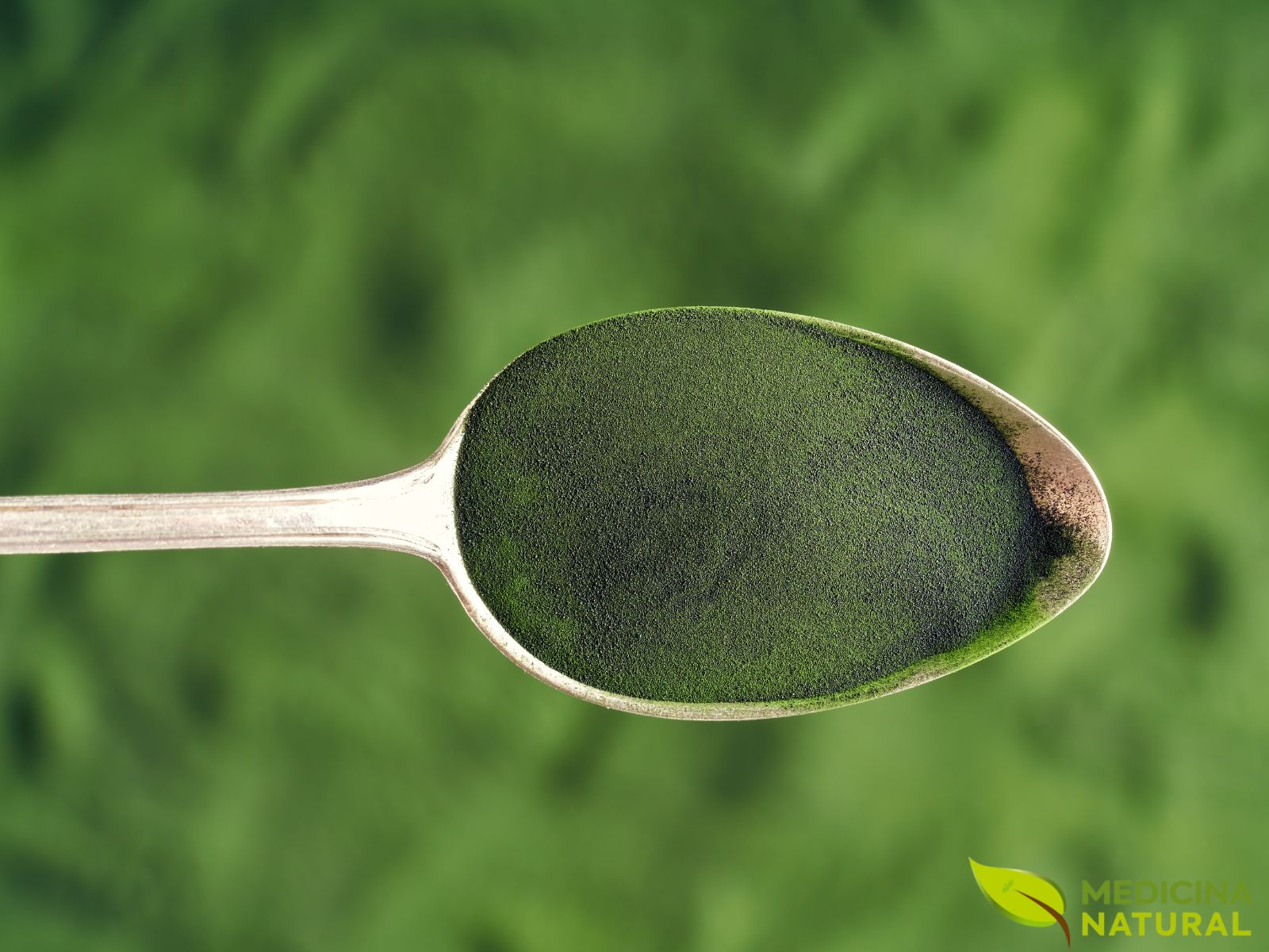 Chlorella vulgaris (ALGACLORELA; CLORELLA) Medicina Natural