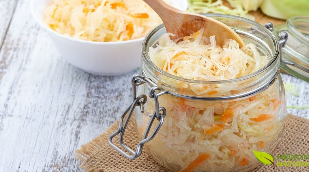 Lactobacillus: Guia Completo dos Probióticos para sua Saúde