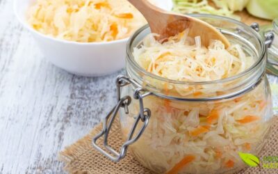 Lactobacillus: Guia Completo dos Probióticos para sua Saúde