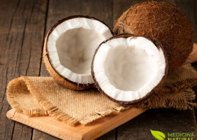 Coco - Cocos nucifera