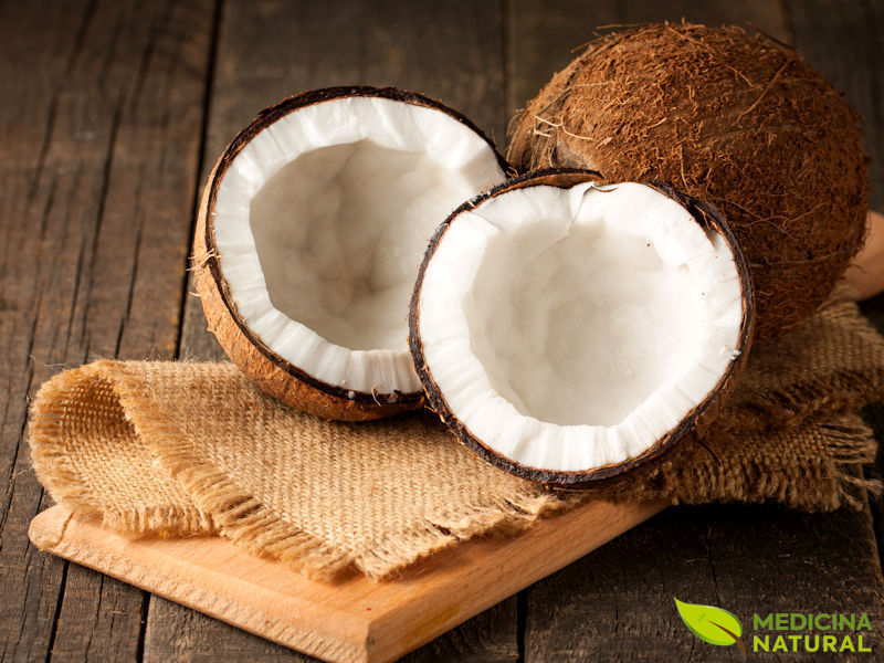 Coco - Cocos nucifera