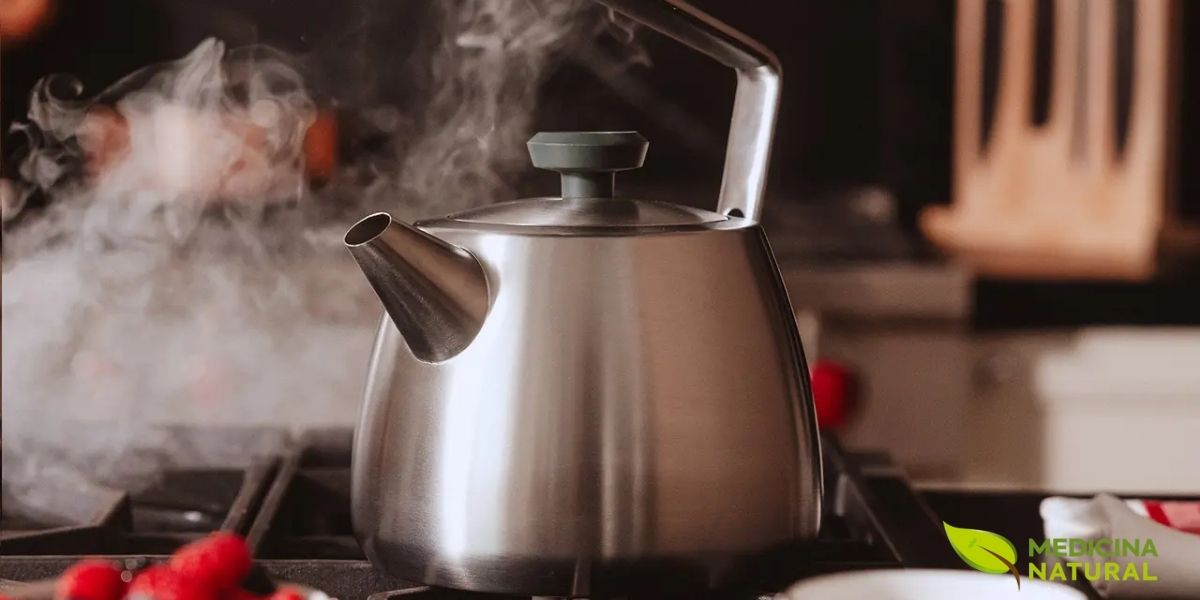 Quando as partes mais duras e resistentes de uma planta medicinal precisam revelar seus segredos, a decocção é o método de escolha. Esta técnica poderosa envolve ferver a matéria-prima (como raízes, cascas, sementes e caules ) diretamente na água por um período mais longo, geralmente de 5 a 20 minutos em fogo baixo. O calor contínuo quebra as fibras celulares rígidas, permitindo a extração de compostos minerais e princípios ativos não voláteis que uma simples infusão não conseguiria alcançar. A decocção é um processo de transformação intensa, onde a água e o fogo trabalham juntos para liberar a força medicinal contida nas partes mais profundas da planta, resultando em uma bebida mais concentrada, com sabor robusto e de altíssimo potencial terapêutico.