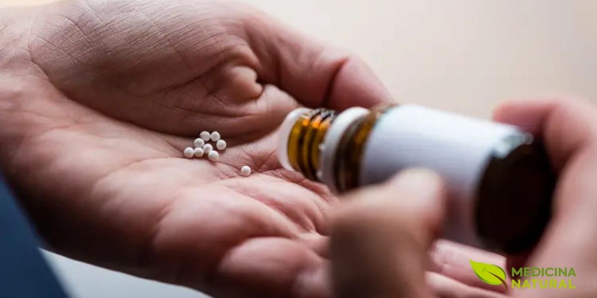 A consulta homeopática é detalhada e individualizada, considerando todos os aspectos do paciente. Para prescrever Lachesis Muta, o homeopata avalia sintomas físicos, características emocionais, modalidades de melhora e piora, e o perfil psicológico completo. Esta abordagem personalizada garante a escolha do remédio mais adequado para cada indivíduo.