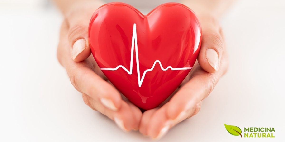 Cuidar do coração é essencial para uma vida longa e saudável. O Lachesis Muta oferece proteção cardiovascular natural, sendo especialmente indicado para sintomas que pioram do lado esquerdo do corpo, palpitações, sensação de constrição no peito e problemas circulatórios. A homeopatia complementa outras medidas preventivas como dieta e exercícios.