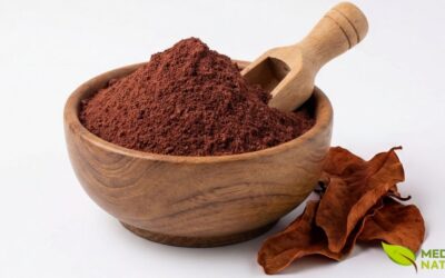 Compostos Bioativos do Crajiru: Antocianinas e Carajurina