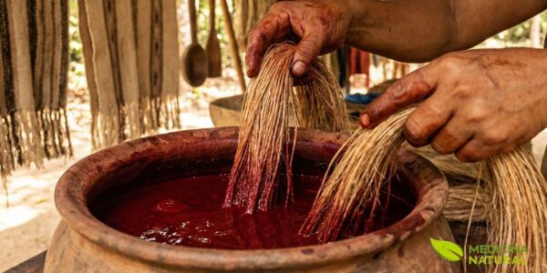 O processo de extração do corante vermelho do crajiru é um conhecimento transmitido há gerações. A maceração das folhas libera os pigmentos que, fixados com técnicas tradicionais, produzem cores que resistem a lavagens e ao tempo.