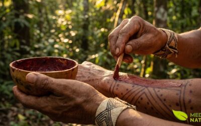 Crajiru na Cultura Indígena: História e Usos Tradicionais
