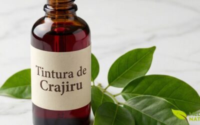 Tintura de Crajiru: Benefícios e Guia Completo