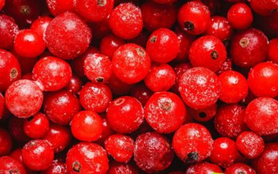 Cranberry: saiba para que serve a fruta
