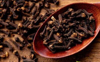 Cravo-da-Índia: saiba para que serve