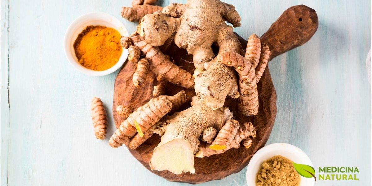 A cúrcuma (Curcuma longa) e o gengibre (Zingiber officinale) formam a dupla anti-inflamatória mais potente da medicina natural para recuperação muscular. A curcumina, composto bioativo da cúrcuma, inibe as vias inflamatórias COX-2 e LOX, reduzindo significativamente a dor muscular de início tardio (DOMS) após treinos intensos. O gengibre, rico em gingerol, possui efeito analgésico e termogênico. Para praticantes de musculação, a combinação destas especiarias acelera a recuperação, permite maior frequência de treino e reduz o risco de lesões por overtraining.