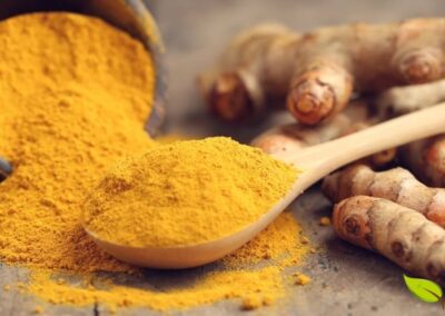 A coloração amarelo-dourada vibrante do pó indica alta concentração de curcumina, o principal composto bioativo. A textura é fina e homogênea, característica de moagem adequada. Ao fundo, os rizomas frescos fornecem contexto da origem do pó. Esta apresentação é típica em lojas de especiarias e mercados tradicionais. O pó de cúrcuma é um dos ingredientes mais versáteis na culinária mundial, sendo componente essencial do curry em pó, além de ser usado em sopas, arroz, smoothies e chás. Na medicina tradicional, o pó é utilizado em preparações tópicas (máscaras faciais, pastas anti-inflamatórias) e orais (cápsulas, chás medicinais).