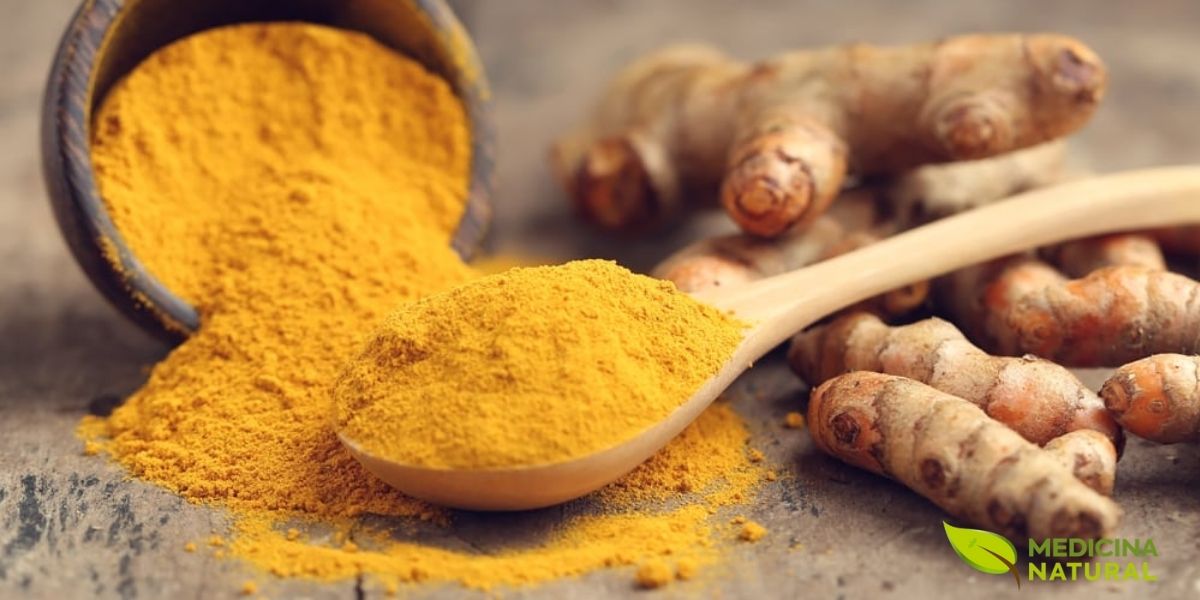 A coloração amarelo-dourada vibrante do pó indica alta concentração de curcumina, o principal composto bioativo. A textura é fina e homogênea, característica de moagem adequada. Ao fundo, os rizomas frescos fornecem contexto da origem do pó. Esta apresentação é típica em lojas de especiarias e mercados tradicionais. O pó de cúrcuma é um dos ingredientes mais versáteis na culinária mundial, sendo componente essencial do curry em pó, além de ser usado em sopas, arroz, smoothies e chás. Na medicina tradicional, o pó é utilizado em preparações tópicas (máscaras faciais, pastas anti-inflamatórias) e orais (cápsulas, chás medicinais).