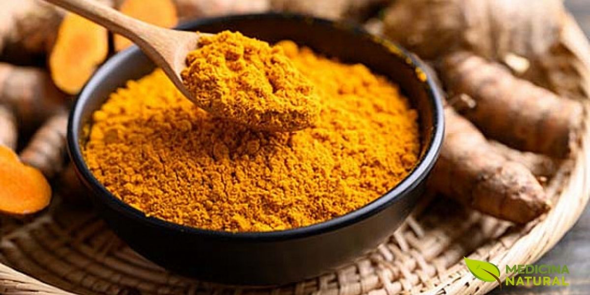 A composição destaca a transformação do rizoma fresco em pó, mostrando as duas formas mais comuns de uso da cúrcuma. O pó apresenta coloração amarelo-alaranjada intensa e textura fina. Os rizomas ao lado mostram a coloração externa marrom e, quando cortados, revelam o interior amarelo-alaranjado. Esta apresentação é comum em contextos culinários e de medicina natural, enfatizando a conexão entre a planta natural e o produto processado. A fotografia é particularmente útil para ilustrar artigos sobre processamento de especiarias, benefícios da cúrcuma e receitas culinárias.