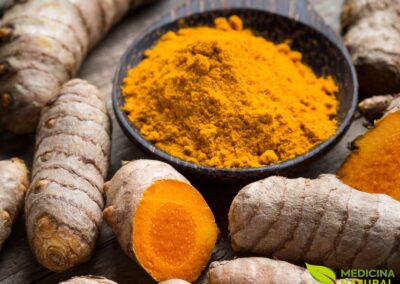 Curcuma longa - ACAFRÃO-DA-ÍNDIA