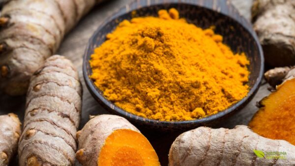 Curcuma longa - açafrão-da-terra