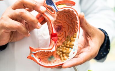 Chás medicinais para melhorar a digestão