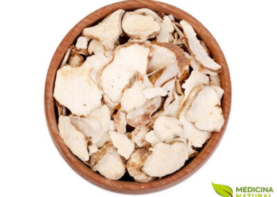 Dong quai (ginseng feminino) - Angelica sinensis