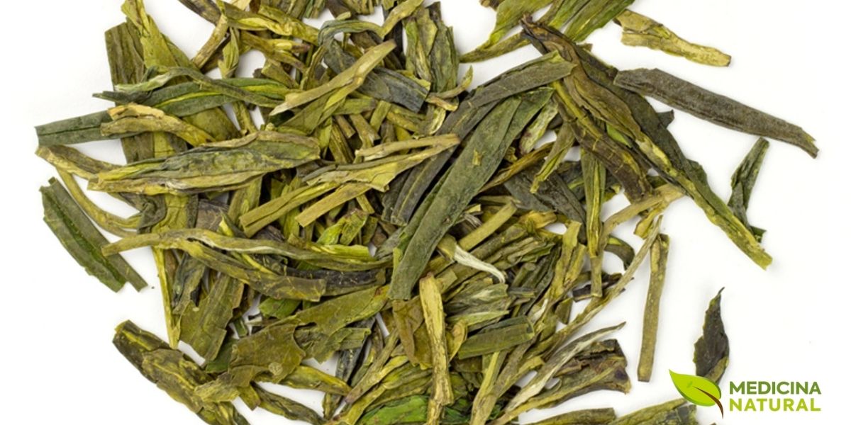 Folhas de Dragon Well (Longjing) com formato achatado característico, o chá verde chinês mais famoso produzido nas colinas ao redor do Lago do Oeste em Hangzhou. As folhas são prensadas à mão em woks quentes durante o processamento, criando sua forma plana distintiva e interrompendo a oxidação através do calor seco. Este método confere ao chá notas tostadas de castanhas e um sabor suave e adocicado. O Dragon Well é reverenciado há séculos e foi historicamente oferecido como tributo aos imperadores chineses.