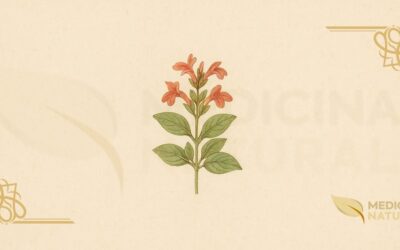 Alecrim-da-Serra (Dicliptera aromatica): Guia Completo