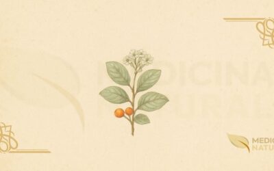 Cordia-Cinza (Cordia sinensis): Guia Completo