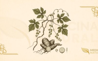 Dioscorea hispida: Guia Completo do Inhame Tóxico