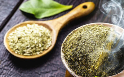 Erva-mate (chá-mate; chimarrão): benefícios