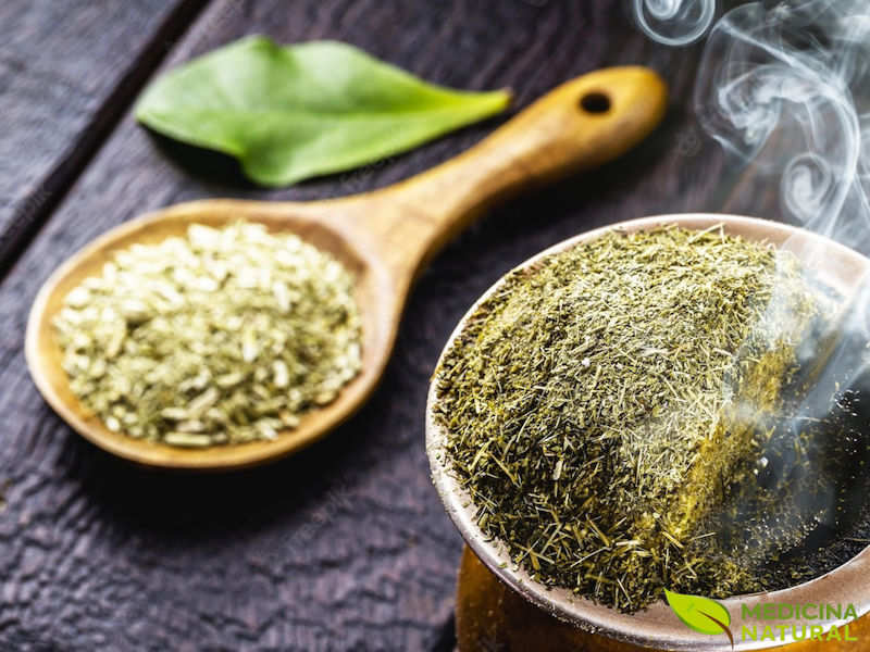 Erva-mate (chá-mate; chimarrão): benefícios