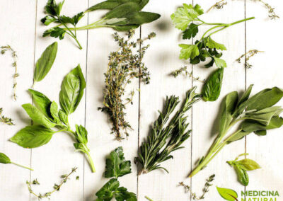 Ervas medicinais