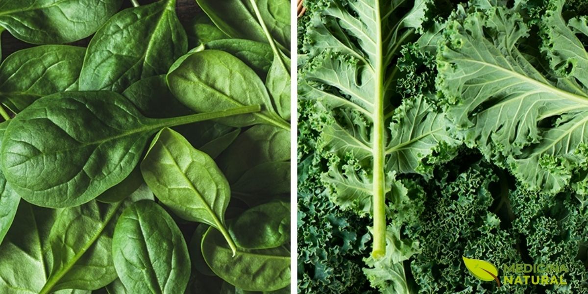 Espinafre e couve, potências nutricionais disfarçadas pela clorofila. Apesar da cor verde intensa, esses vegetais são extremamente ricos em betacaroteno, além de luteína e zeaxantina, carotenoides essenciais para a saúde ocular. Não se deixe enganar pela aparência: o verde esconde um tesouro de vitamina A.