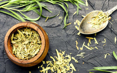 Estragão: saiba para que serve a planta