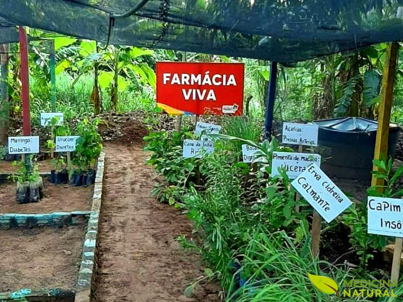 Farmácia Viva (SUS)