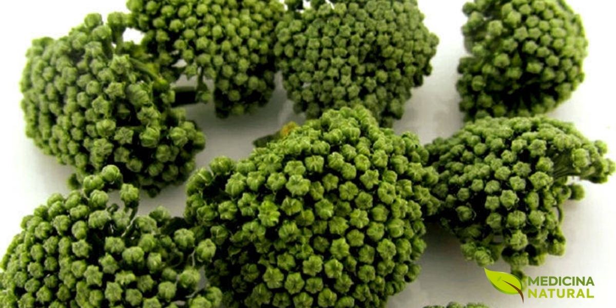 Flores secas de ginseng-de-tien-chi, conhecidas como "San Qi Hua". Além da raiz, as flores também são utilizadas na medicina tradicional chinesa, geralmente para fazer chás com propriedades calmantes e para a saúde do fígado. Elas são colhidas e secas para preservar seus compostos bioativos.