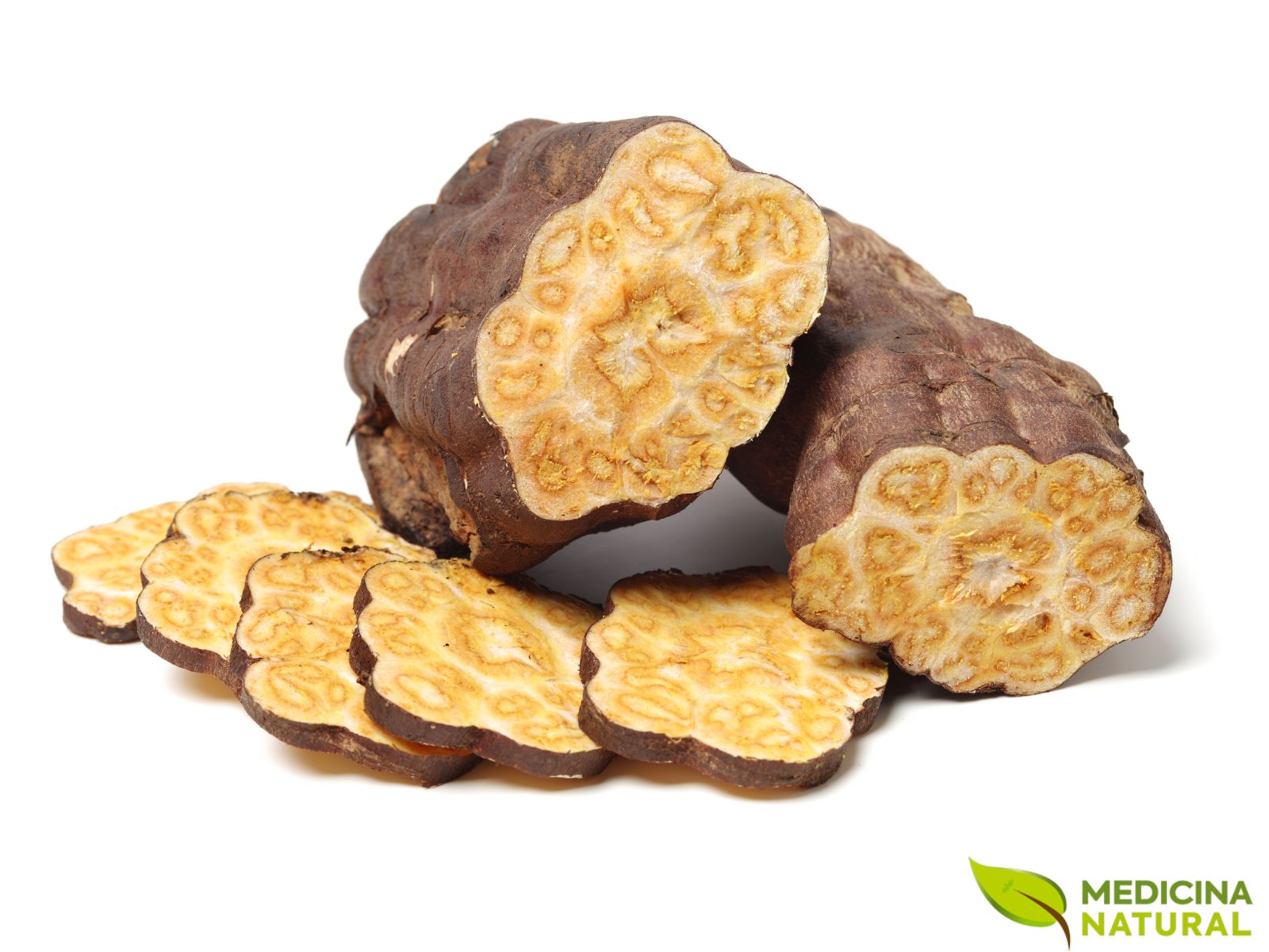 Polygonum multiflorum - FO-TI