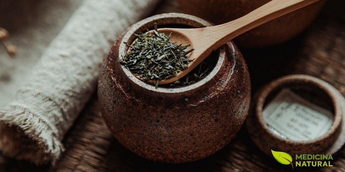 As folhas de Sencha são facilmente reconhecíveis pelo seu formato de agulha achatada e cor verde escura intensa. Após a colheita, as folhas passam pelo processo de vaporização (kill-green) por 15 a 120 segundos, que interrompe a oxidação enzimática e preserva os antioxidantes. O cultivar mais comum é o Yabukita, que representa cerca de 75% da produção japonesa e oferece equilíbrio perfeito entre doçura, umami e adstringência.