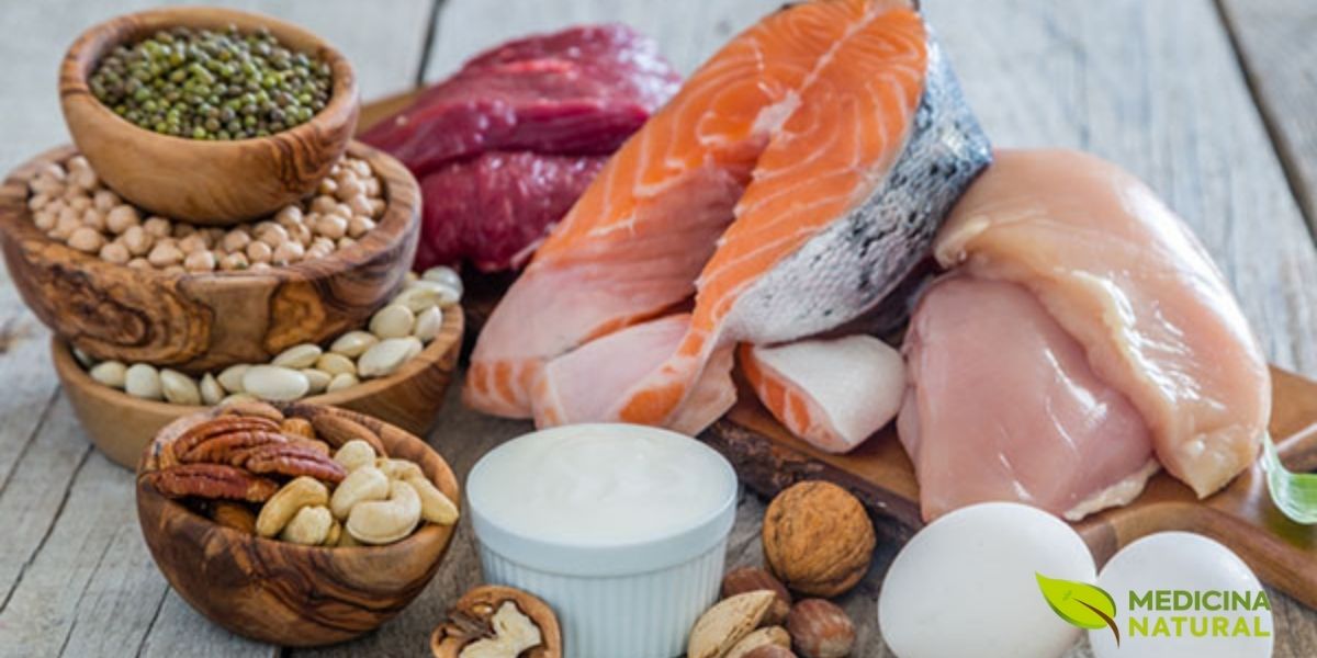 Mesa rústica com uma seleção diversificada de fontes naturais de proteína, incluindo salmão fresco, peito de frango, ovos, leguminosas (lentilhas e feijão), nozes, sementes e iogurte natural. Esta composição ilustra a importância de variar as fontes proteicas para garantir a ingestão de todos os aminoácidos essenciais, especialmente a leucina, o principal gatilho para o crescimento muscular através da ativação da via mTORC1.