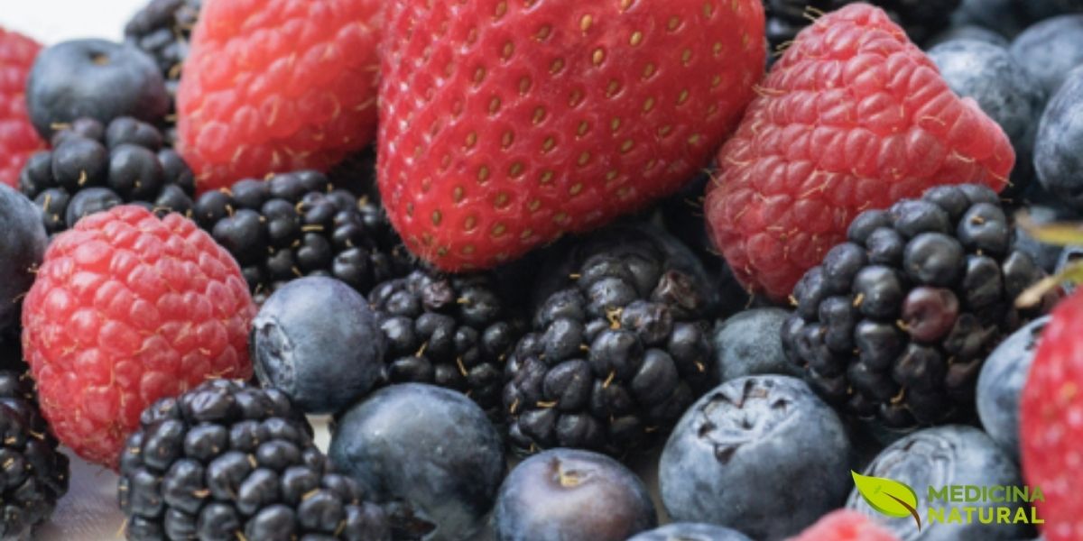 A combinação de diferentes frutas vermelhas maximiza a ingestão de diversos tipos de polifenóis e outros compostos bioativos. Cada fruta oferece um perfil único de nutrientes: mirtilos para saúde cerebral, framboesas para fibras e ácido elágico, morangos para vitamina C, e amoras para resveratrol. Assim como o chá verde, estas frutas combatem inflamação, protegem contra doenças cardiovasculares e podem ajudar na prevenção de certos tipos de câncer. A recomendação é consumir uma variedade de cores diariamente.